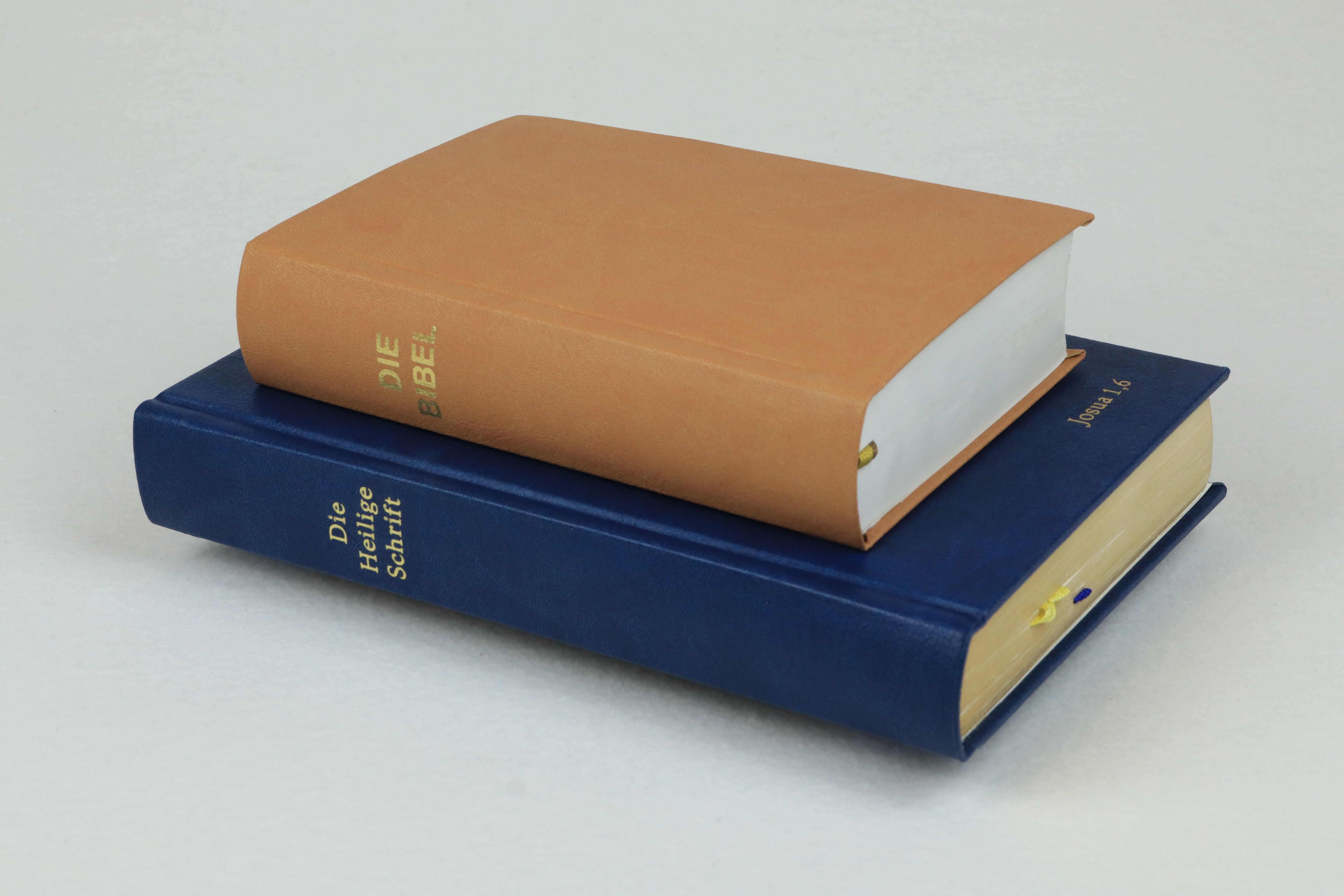 Neu eingebundene Bibeln in Kunstleder mit diversen Prägungen