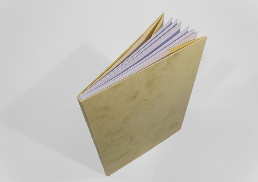 Taschenbuch / Weichbroschur